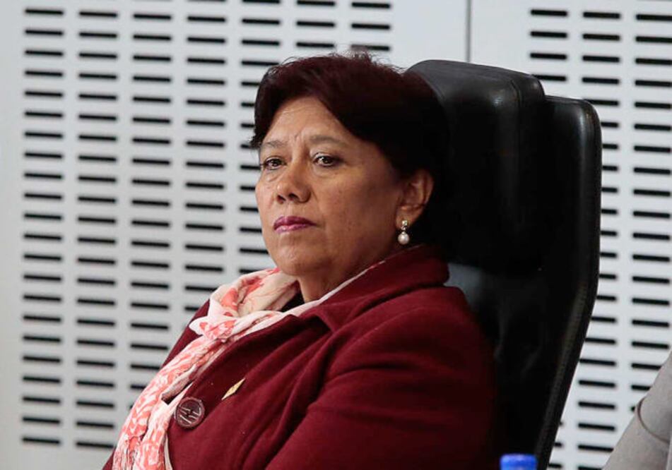 La diputada morenista asegura que ante la propuesta del PAN, su partido va a hacer siempre su labor de convencimiento, “para eso es el parlamento, para hablar, para discutir” (ARCHIVO EL UNIVERSAL)