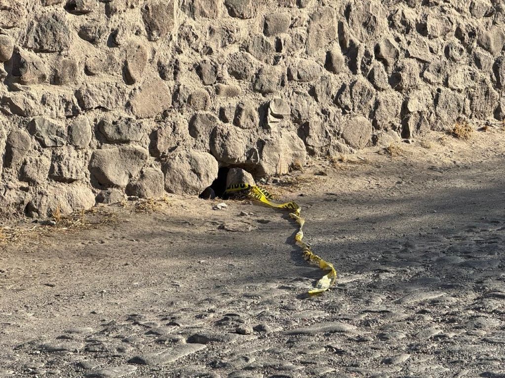 Foto. Ángel González