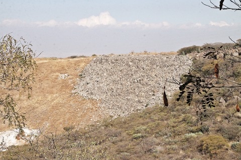 Alertan sobre  basureros ilegales en la entidad