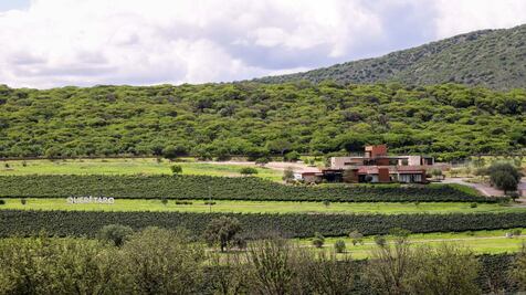 Viñedo Puerta del Lobo celebra su décima vendimia
