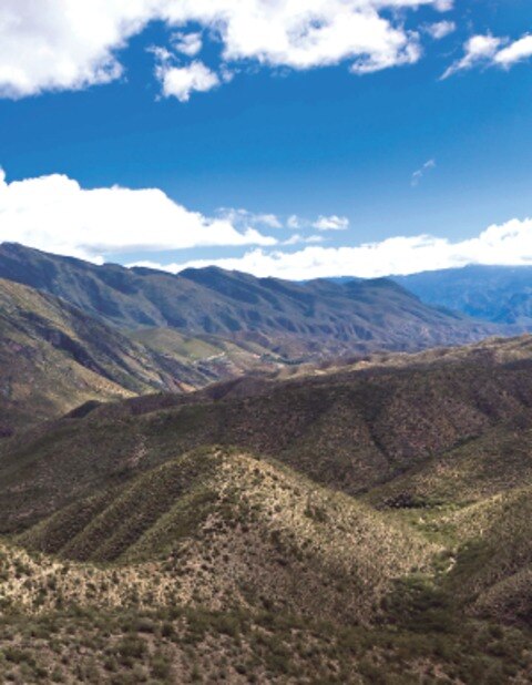  Especies en riesgo por tráfico ilegal 