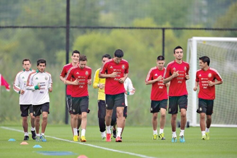 A domar a los “salvajes elefantes”