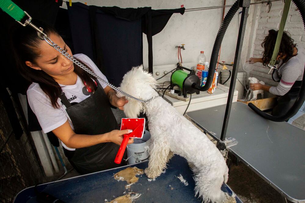 Foto: Archivo. El Universal