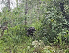 Localizan a tres menores con Alerta AMBER en una cueva de Pinal de Amoles