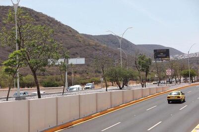 Con mil árboles, circuito es un gran pulmón: alcalde