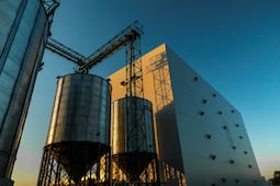 AMMI consolida un año récord y acelera su expansión internacional con un crecimiento interanual del 505%