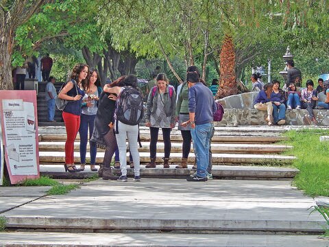 Gobierno apoyaría en captura de capo