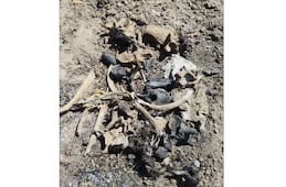 Colectivo descubre zona de exterminio en Tamaulipas