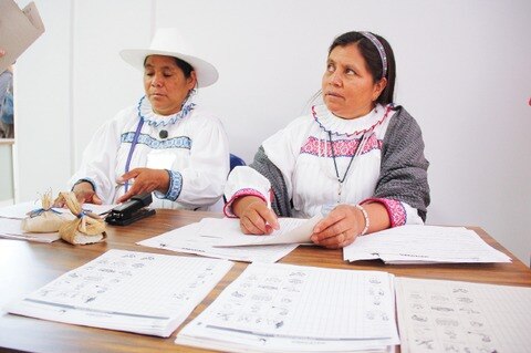 Busca INEA reforzar atención