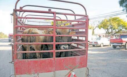 Congreso busca endurecer sanciones