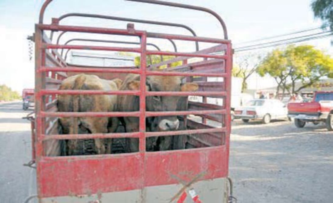 Congreso busca endurecer sanciones