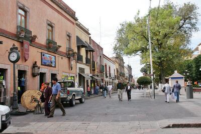 Reportan 60 denuncias por tala en la capital