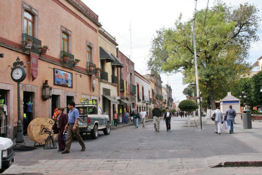 El Consejo de Participación Ciudadana para el Medio Ambiente dice que la sociedad está alerta de los árboles en el centro (ARCHIVO EL UNIVERSAL)