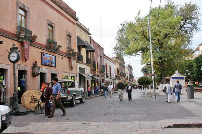 Reportan 60 denuncias por tala en la capital