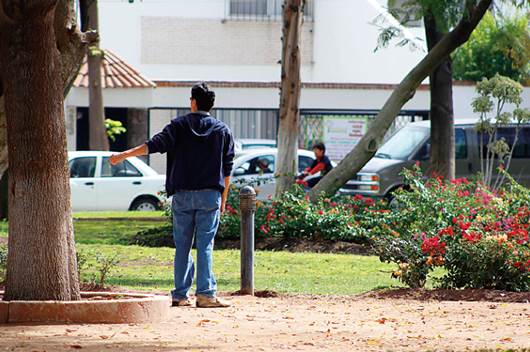 Capital, a la cabeza en áreas verdes