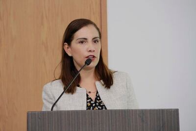 Agenda de mujeres crea división: Elsa Méndez