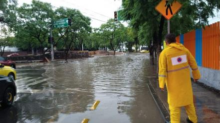 Las lluvias en Querétaro dejaron caídas de árboles y afectaciones en vialidades