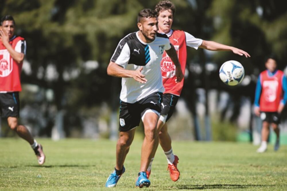 Gallos, listos para iniciar su vuelo