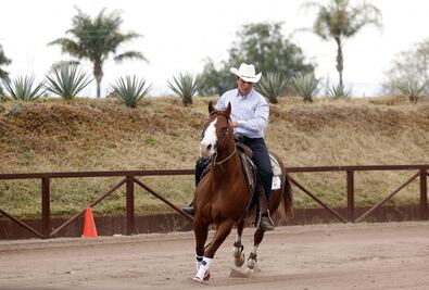 Reining en El Marqués