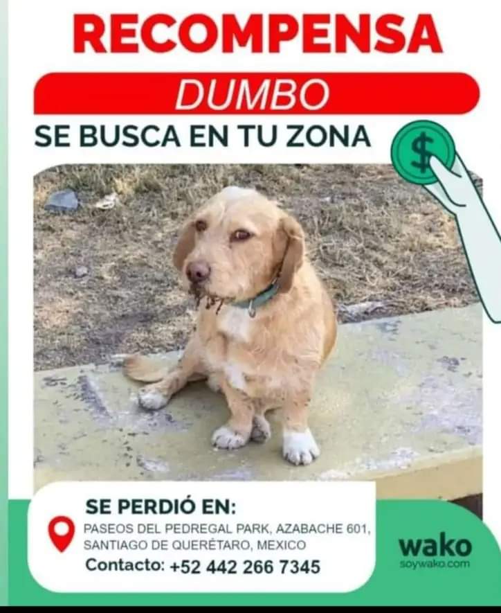 Foto: Tomada de Facebook