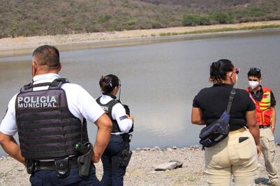 Por orden federal, se pierden 485 hectáreas de El Zapote, área natural protegida