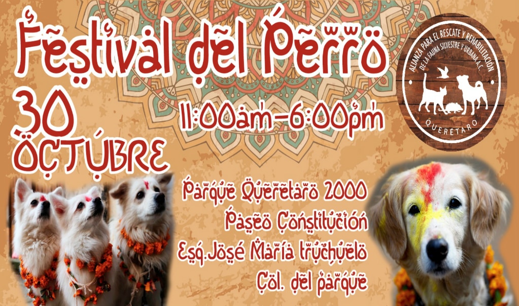 Festival del Perro, por primera vez en Querétaro