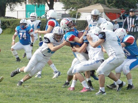Gatos Salvajes quieren abrir el triunfo