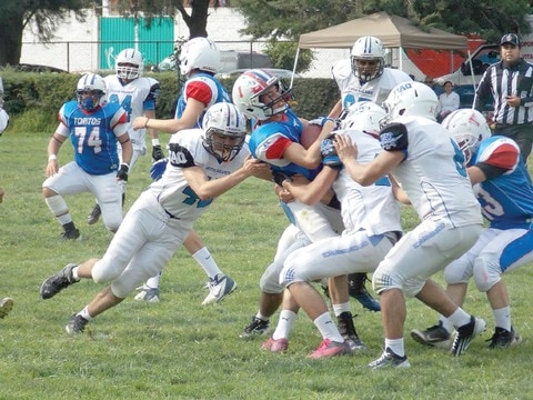 Gatos Salvajes quieren abrir el triunfo