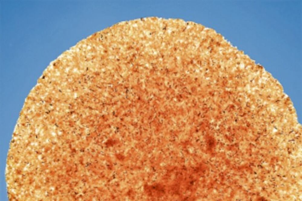 Gourmets del amaranto