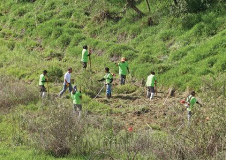 Destinan 2 mdp para reforestación 