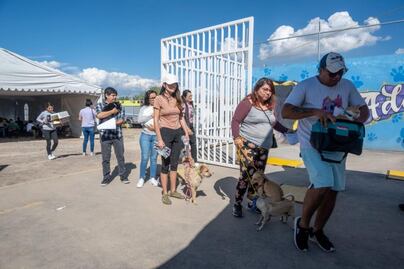 Realizan Campaña Masiva de Esterilización