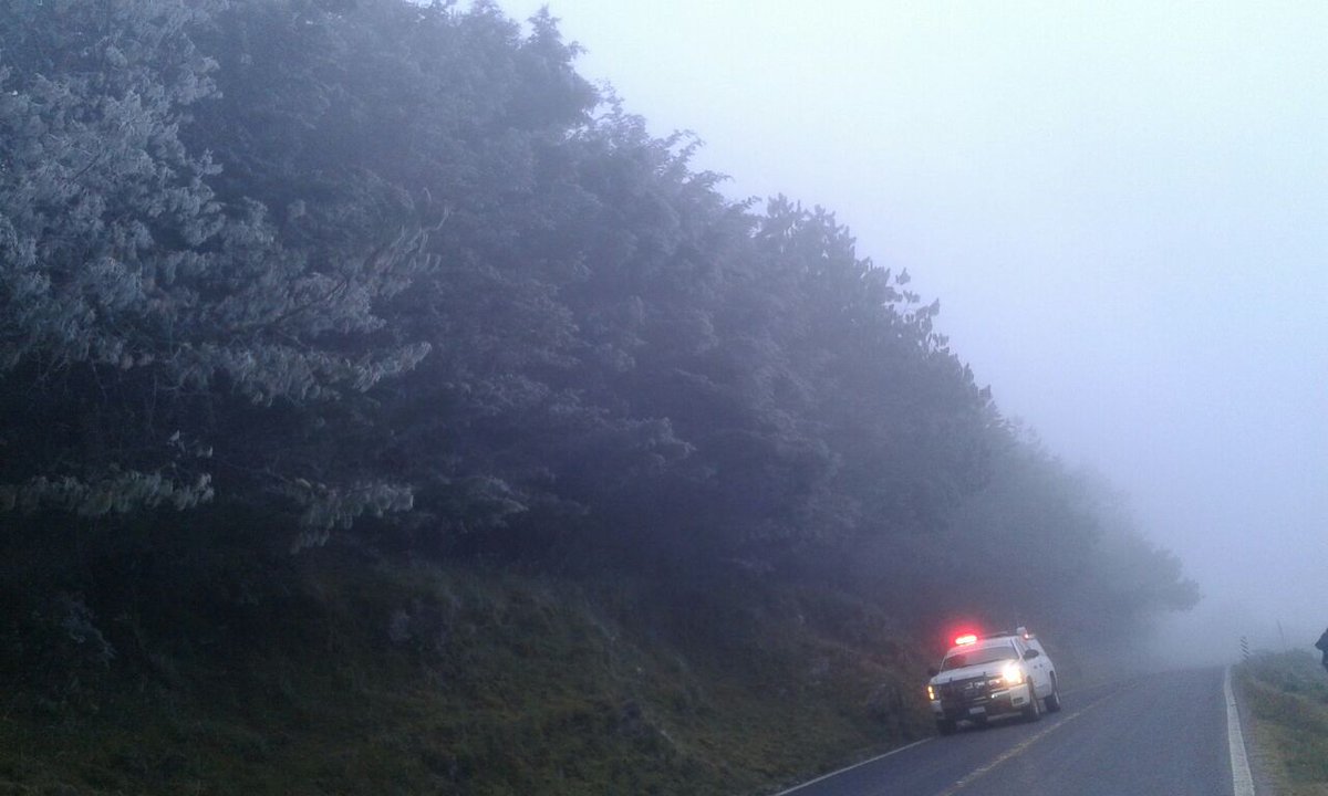 Reportan temperatura de cuatro grados bajo cero en Landa de Matamoros