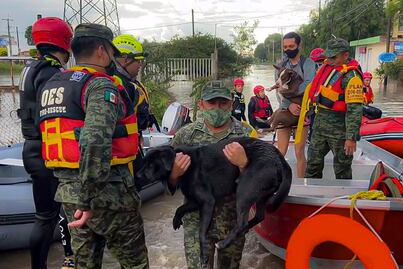 Querétaro bajo la lluvia; hay 14 de 18 municipios afectados, reporta Protección Civil