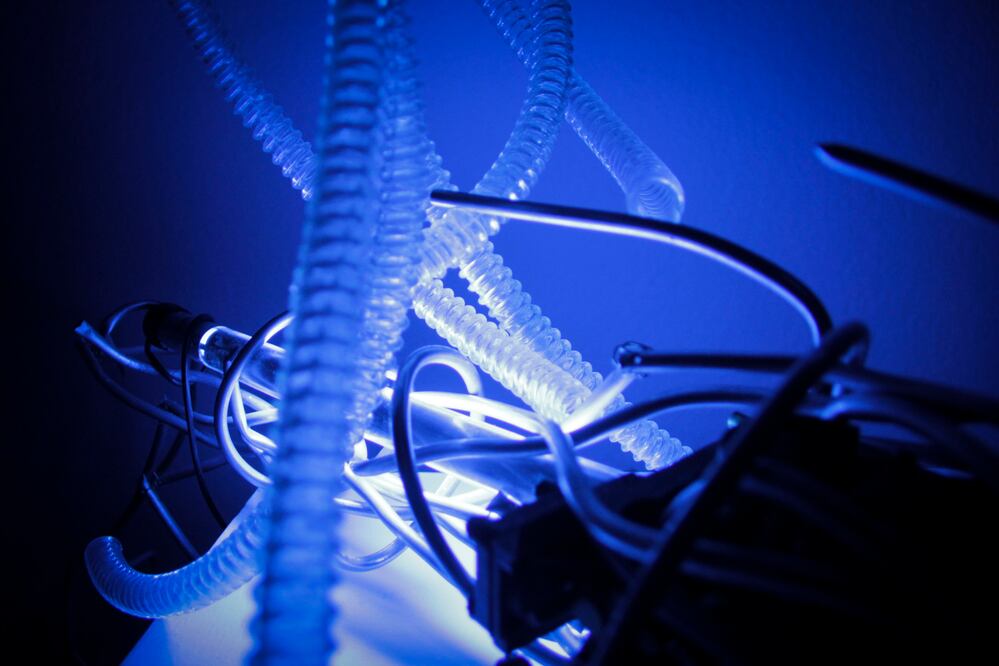 Arte y ciencia en exposición plástica