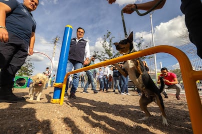 Querétaro tiene nuevo parque para perros