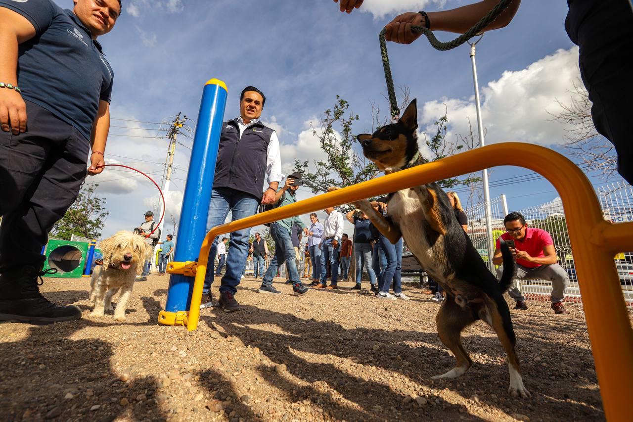 Querétaro tiene nuevo parque para perros