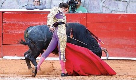 Debatirán iniciativa antitaurina