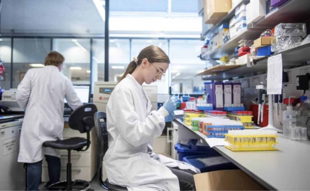 Posible vacuna contra coronavirus de Universidad de Oxford genera anticuerpos y es "segura"