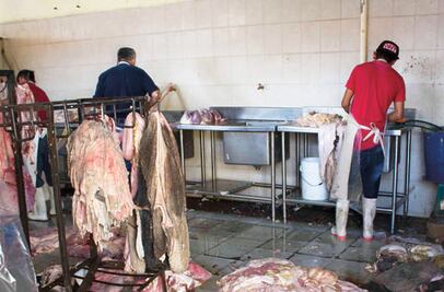 Registran nuevo caso de clembuterol