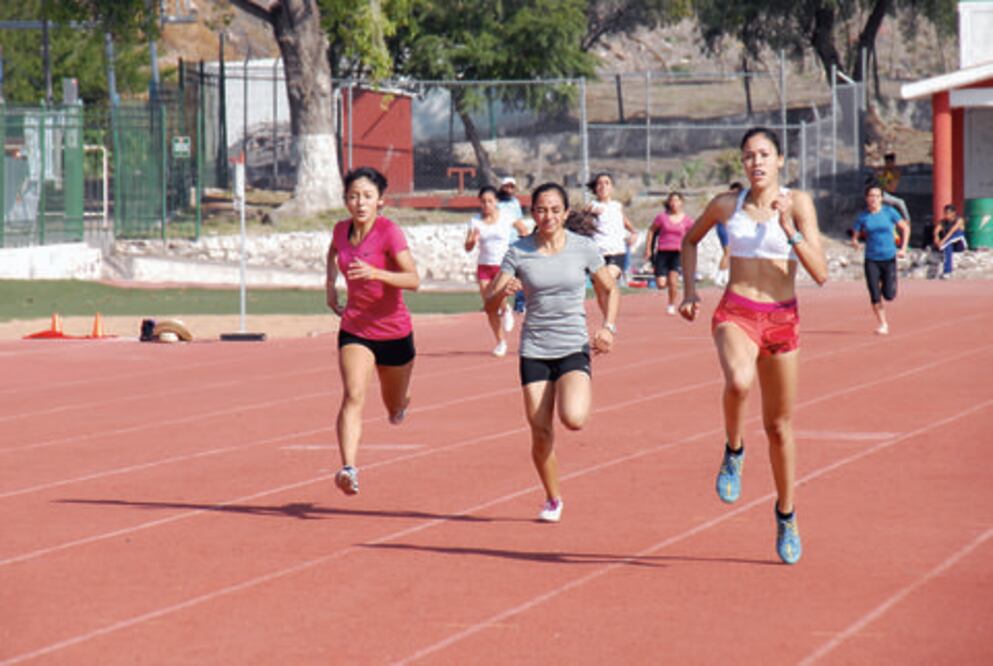 Cursos de verano de Indereq, gratuitos