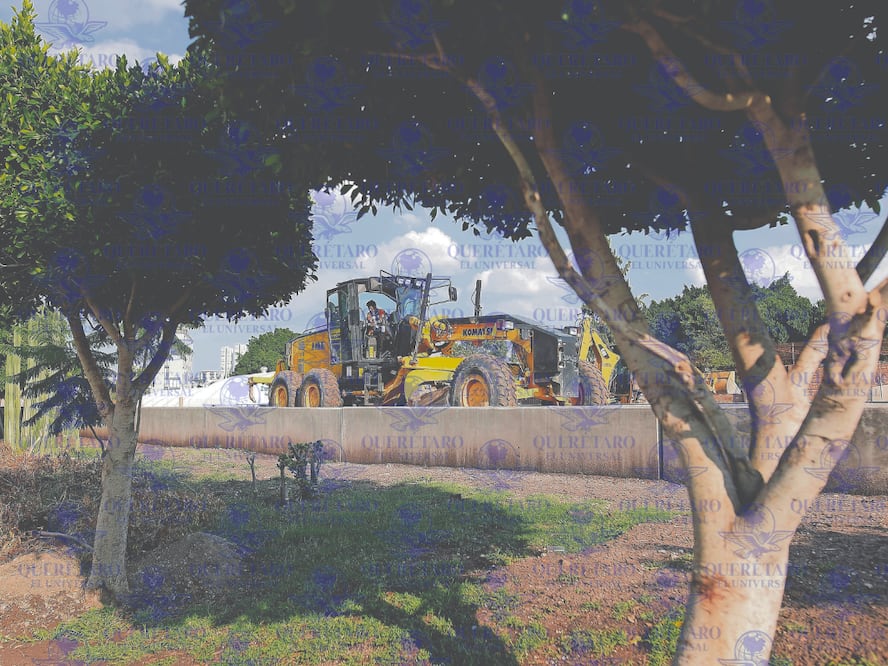 FOTO. CÉSAR GÓMEZ