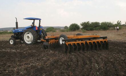 Ofrecen plazas temporales en Alemania y Canadá