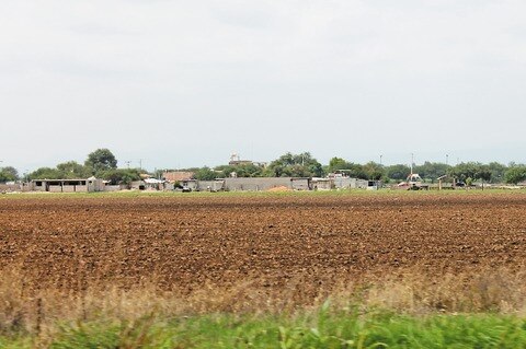 Invertirán para combatir plagas