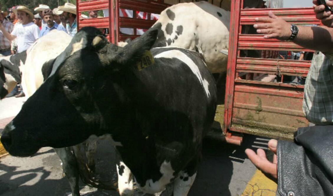 FOTO: Archivo El Universal