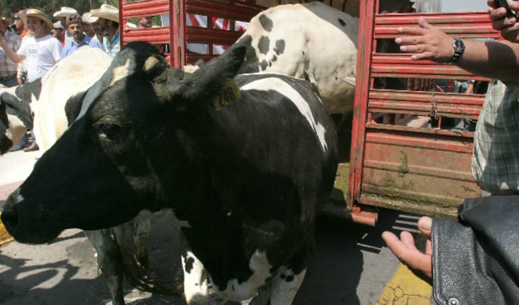 FOTO: Archivo El Universal