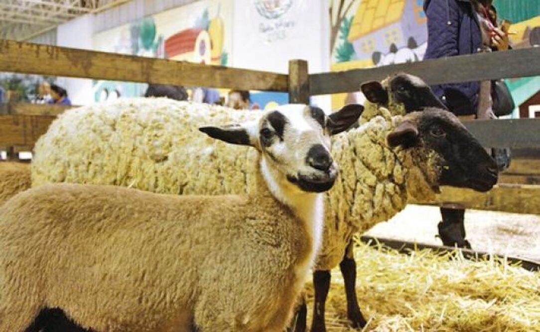 Foto: Archivo El Universal