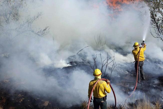 Trabajan en controlar el incendio de Jalpan