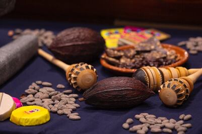 Mexicacao impulsa al sector chocolatero