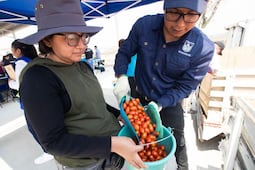 Jornadas sociales en San Juan del Río benefician a 6 mil 800 habitantes