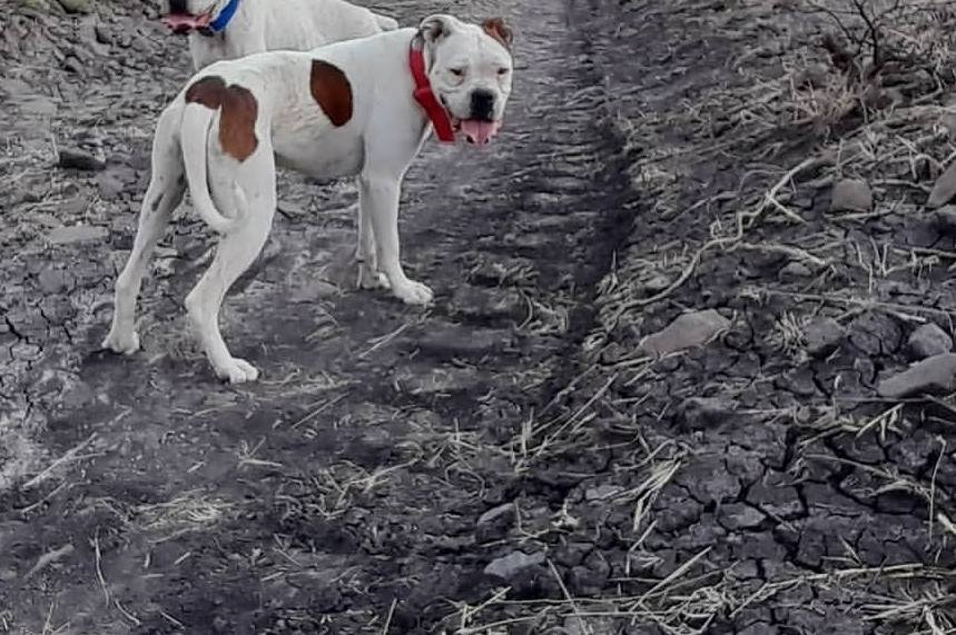 FOTO. TOMADA DE FACEBOOK